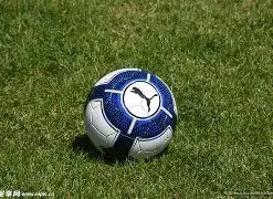 林书豪全明,星之旅,特例还是常,金贝娱乐官网,金贝娱乐JINBEI官网入口,金贝娱乐网站,金贝娱乐官网娱乐,金贝娱乐JINBEI,金贝娱乐JINBEI登录入口