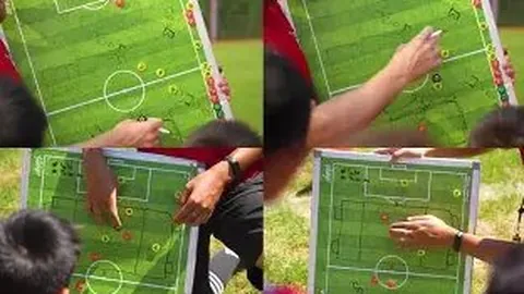 金贝娱乐 资讯 100358 b0l