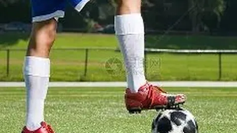 金贝娱乐 资讯 101137 gmn